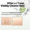 Nature Republic Fresh Herb Aloe Cleansing Foam 170ml