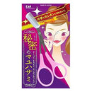 Kai Eyebrow Scissors with Comb