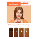 Kao Liese Creamy Bubble Hair Color