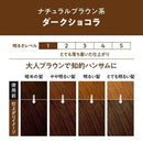Kao Liese Prettia Bubble Hair Color-Dark Chocolate