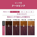 花王Liese光影系列天然植物泡沫染发剂-光影酷粉