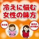 Kincho Self-heated Patches Wormwood Leaf (8Pcs)