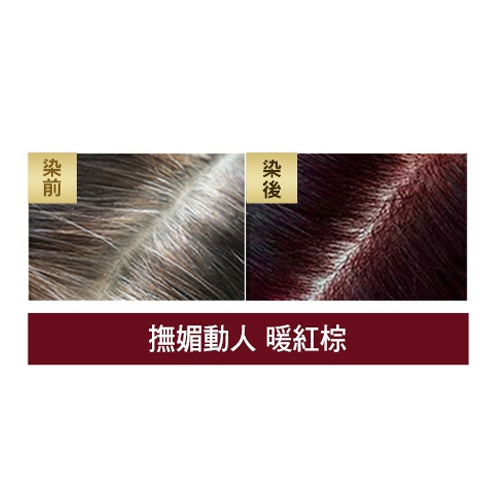ReEn Essential Herb Hair Dye Cream Wine Brown 3 Pack