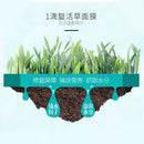 BB Lab Moist Cream Mask Pro 175g